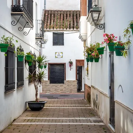 Lägenhet Beautiful Very Estepona